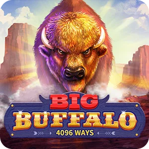BIG BUFFALO