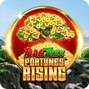 FORTUNES RISING