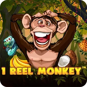 1 REEL MONKEY