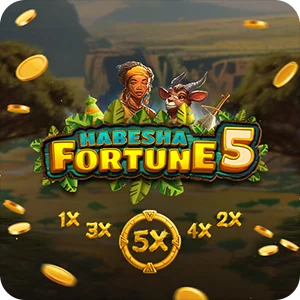 HABESHA FORTUNE 5
