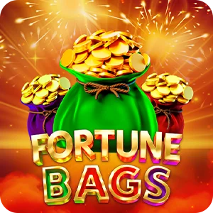 FORTUNE BAGS