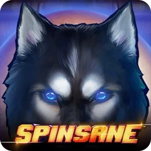 SPINSANE