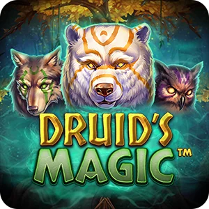 DRUID'S MAGIC