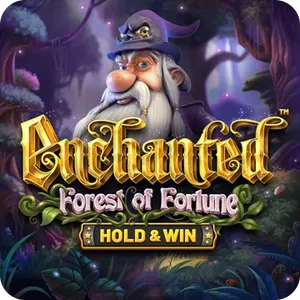 ENCHANTED FOREST OF FORTUNE: HOLD AND WIN