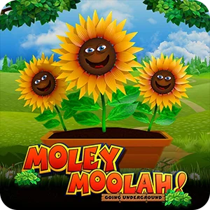 MOLEY MOOLAH GOING UNDERGROUND