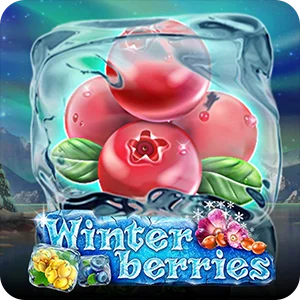 WINTERBERRIES